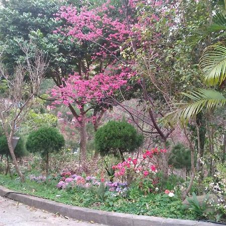 Ruyi Yuan Homestay Tongxiao Екстер'єр фото